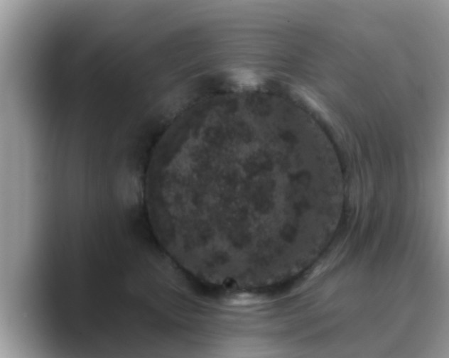 X0000089880467200707051213