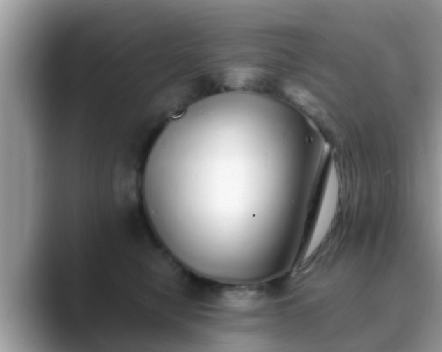 X0000089880470200707051213