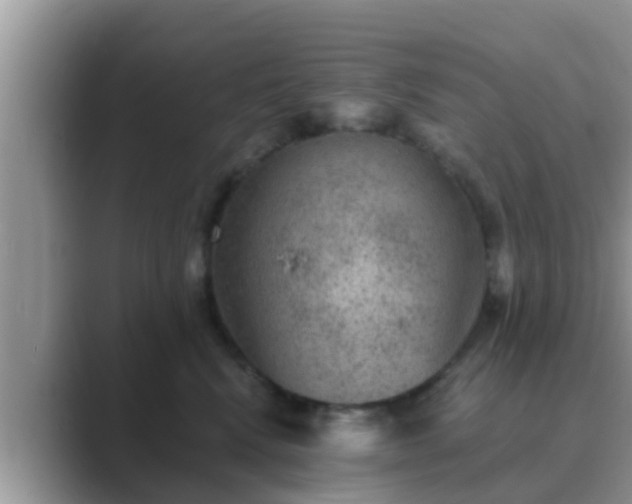 X0000089880472200707051213