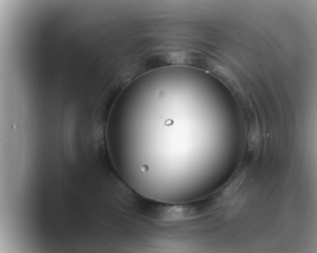 X0000089880473200707051213