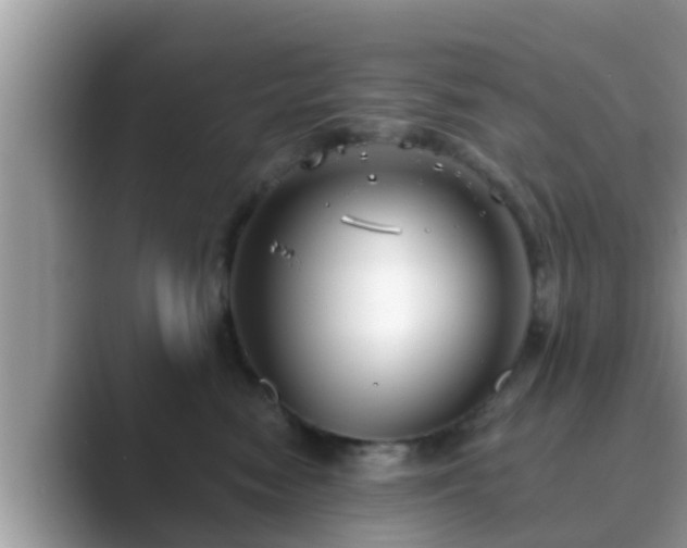 X0000089880474200707051213