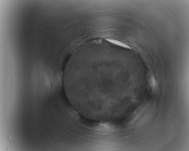 X0000089880475200707051213