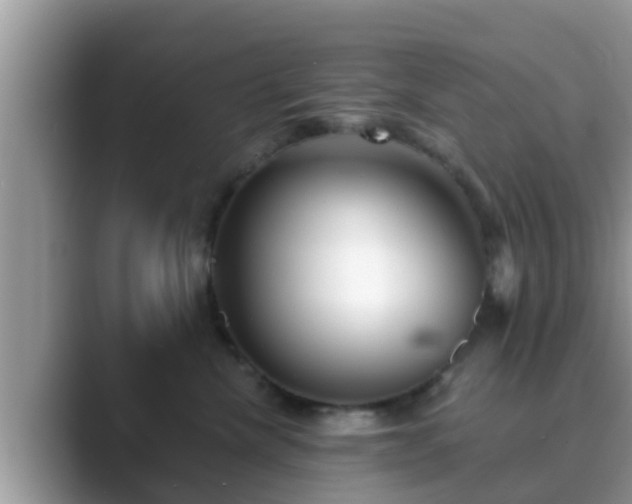 X0000089880476200707051213