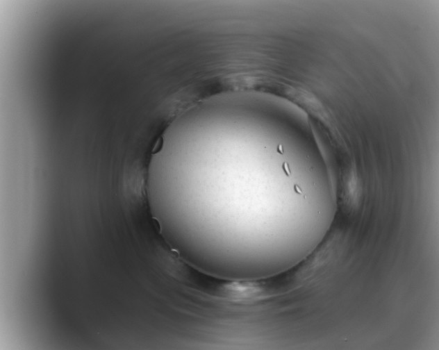 X0000089880477200707051213