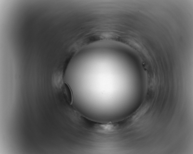 X0000089880478200707051213