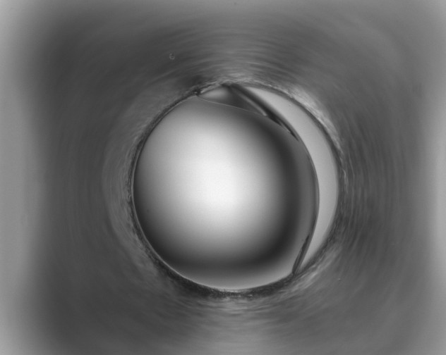 X0000089880481200707051213