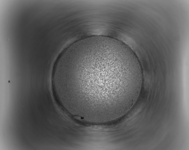 X0000089880482200707051213