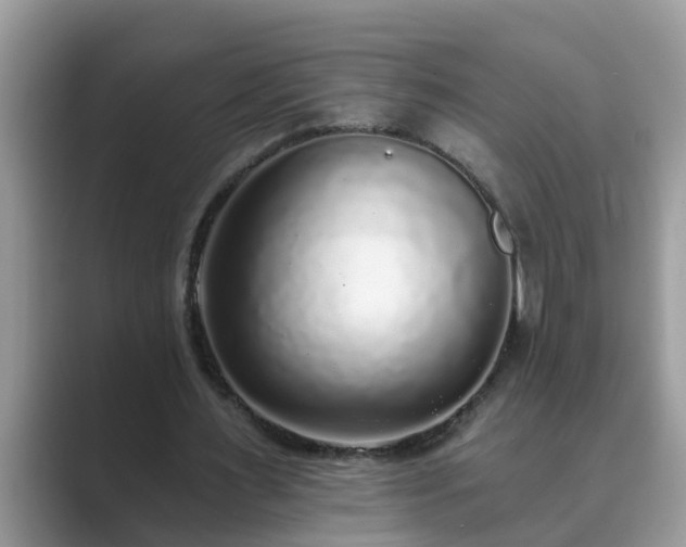 X0000089880483200707051213