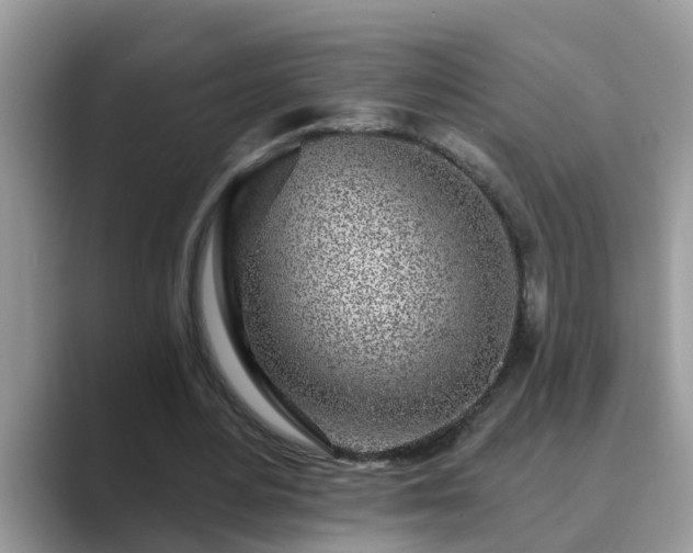 X0000089880484200707051213