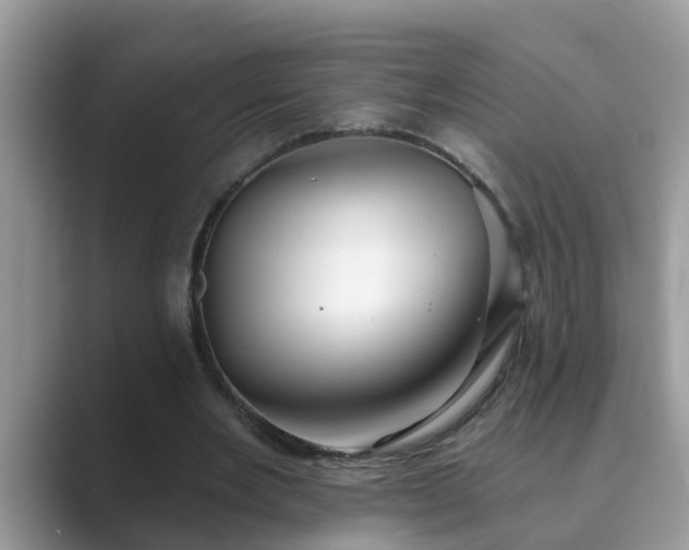 X0000089880485200707051213