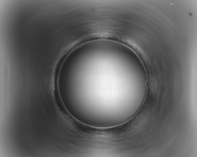 X0000089880486200707051213