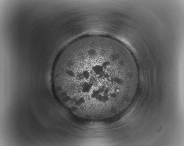 X0000089880487200707051213