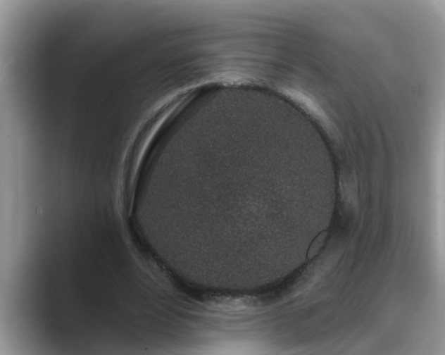 X0000089880488200707051213