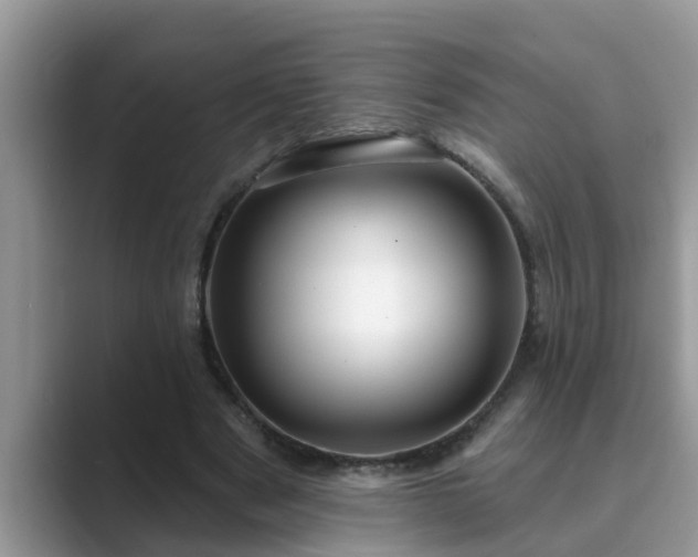 X0000089880489200707051213