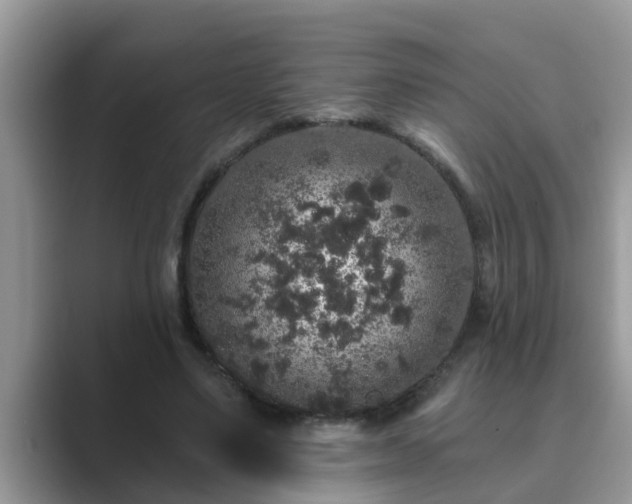 X0000089880491200707051213