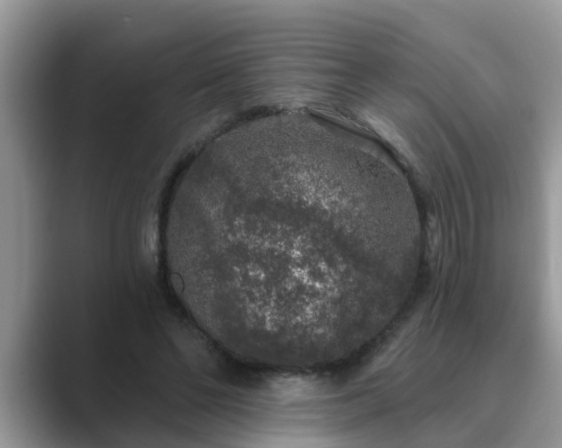 X0000089880494200707051213