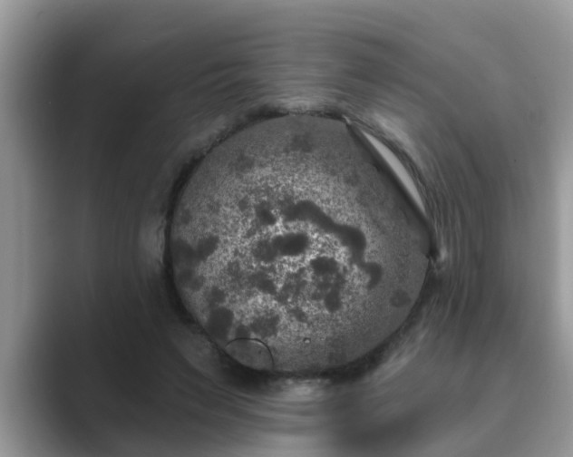 X0000089880495200707051213