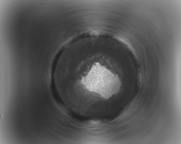 X0000089880496200707051213