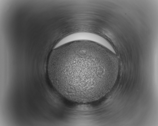 X0000089880499200707051213