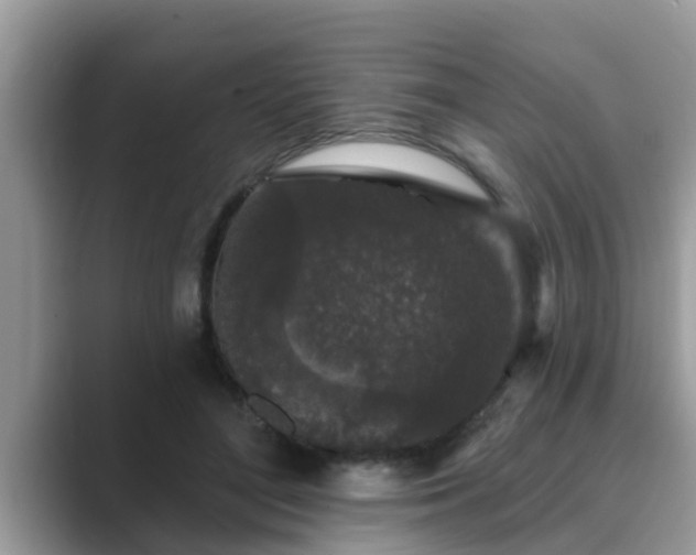 X0000089880500200707051212