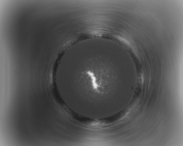 X0000089880504200707051212