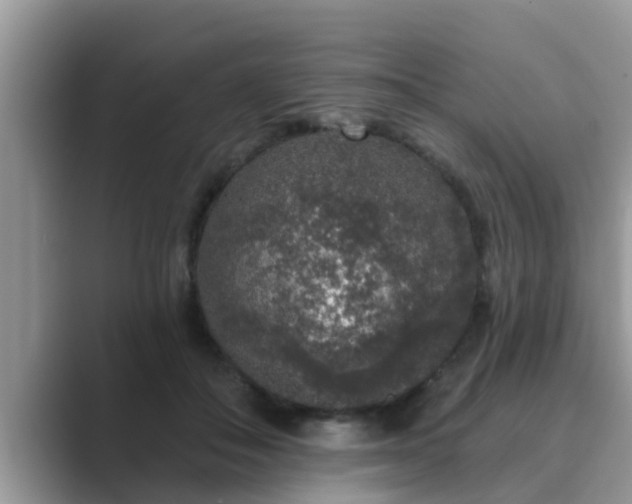 X0000089880506200707051212