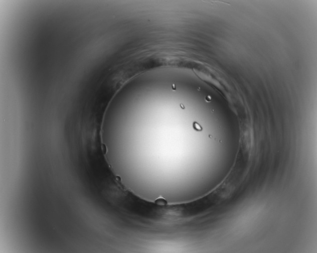 X0000089880525200707051212