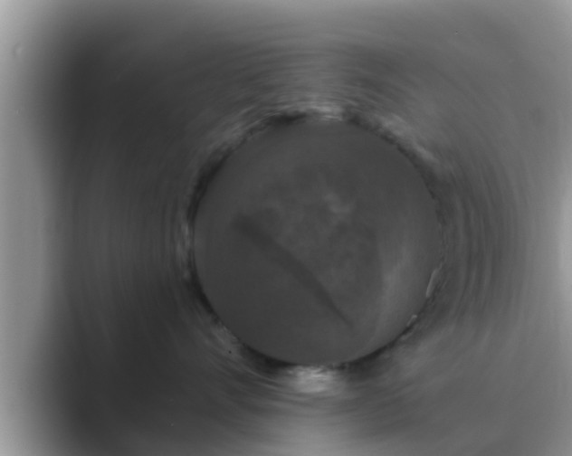 X0000089880528200707051212