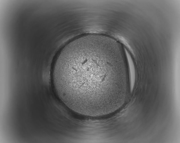 X0000089880531200707051212