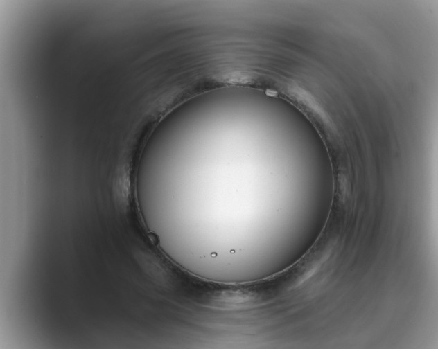 X0000089880541200707051212