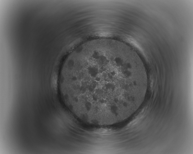 X0000089880542200707051212