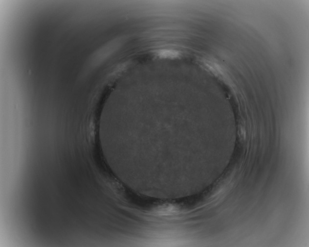 X0000089880551200707051212