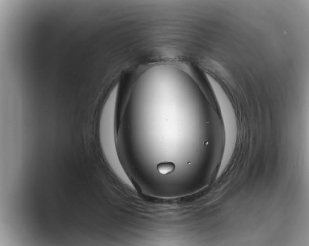 X0000089880552200707051212