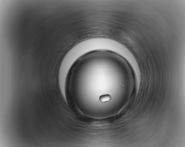 X0000089880556200707051212