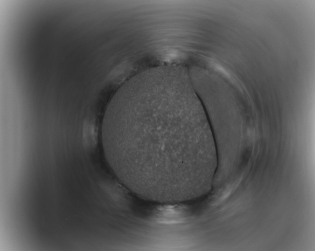 X0000089880558200707051212