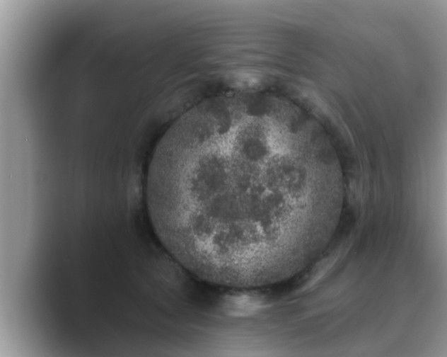 X0000089880561200707051212