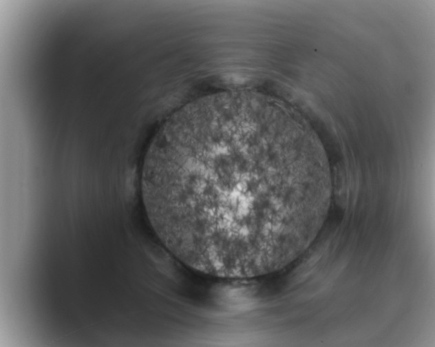 X0000089880563200707051212