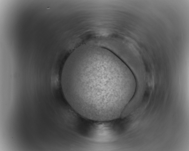 X0000089880564200707051212