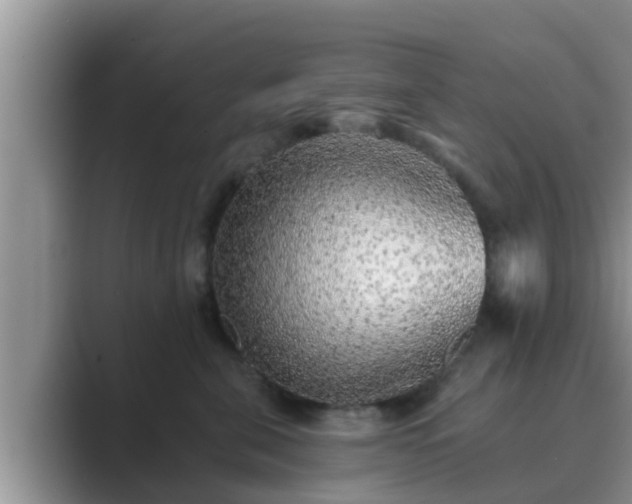 X0000089880571200707051212