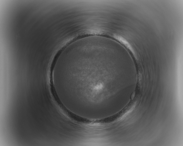 X0000089880581200707051211