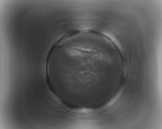 X0000089880585200707051211