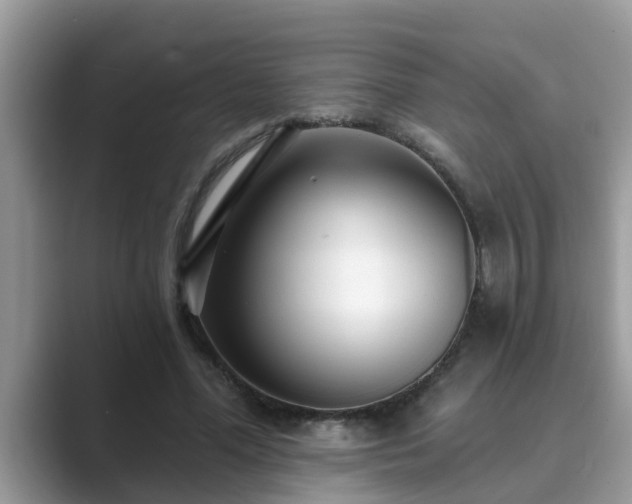 X0000089880588200707051211