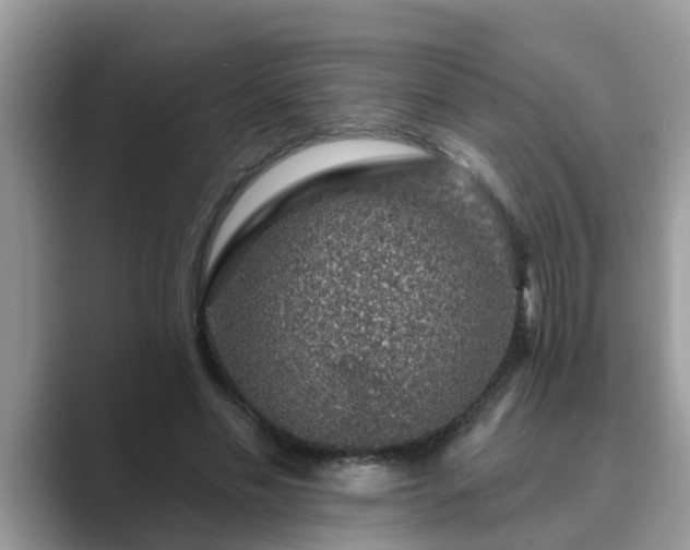 X0000089880589200707051211