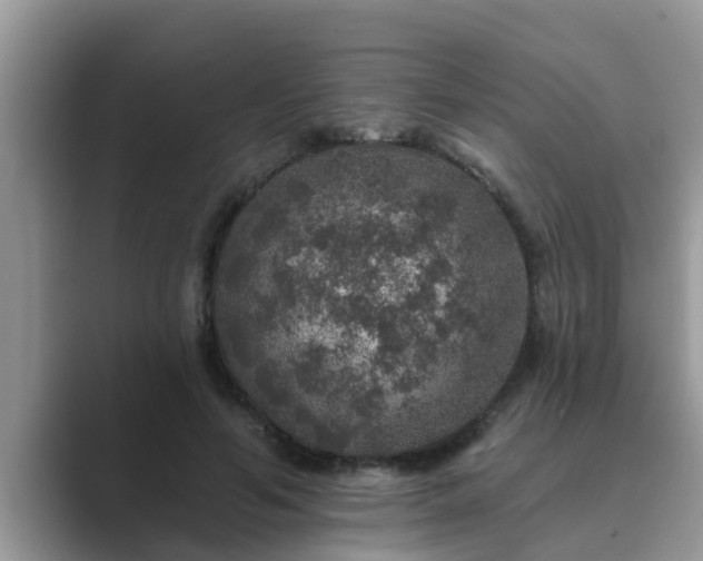 X0000089880594200707051211