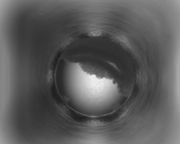 X0000089880598200707051211