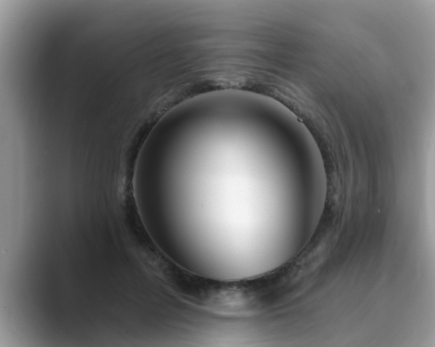 X0000089880600200707051211