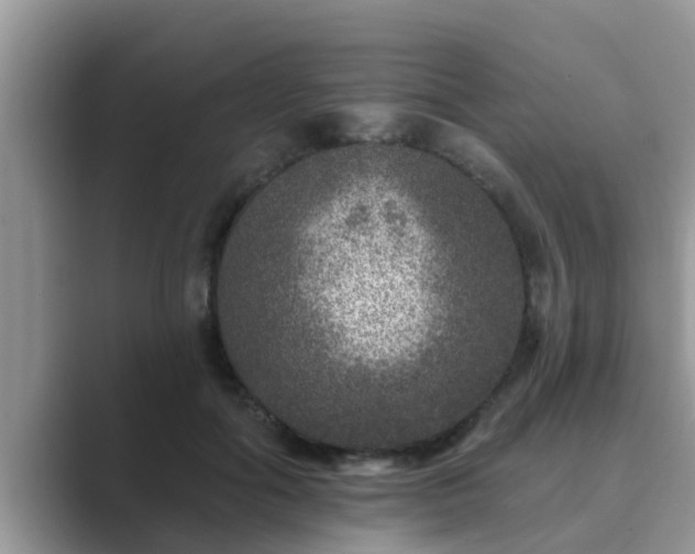 X0000089880602200707051211