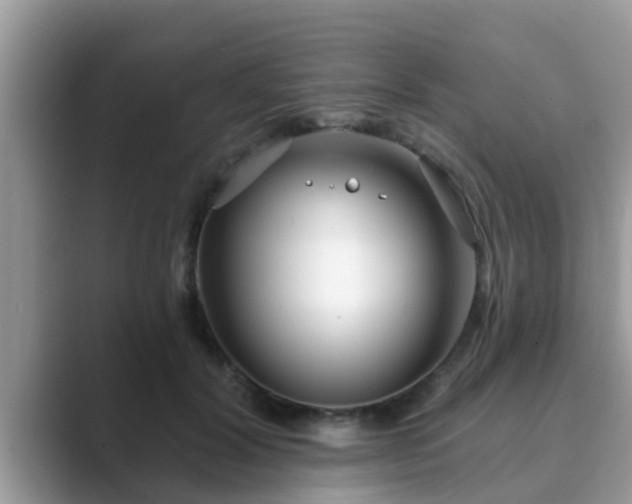 X0000089880604200707051211