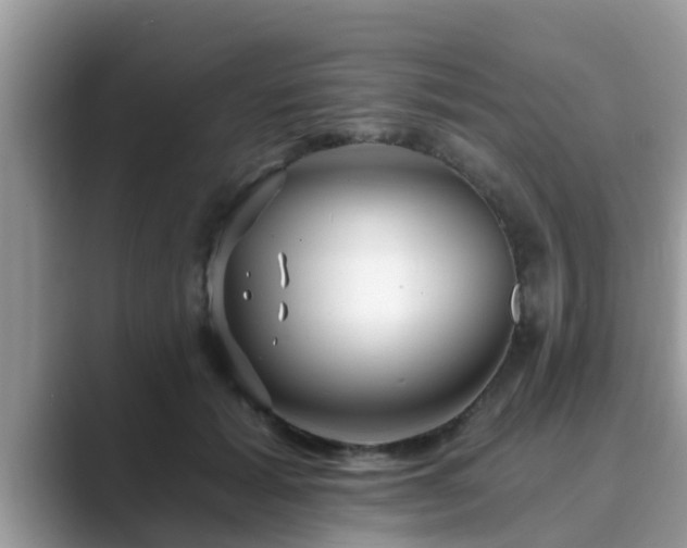 X0000089880605200707051211