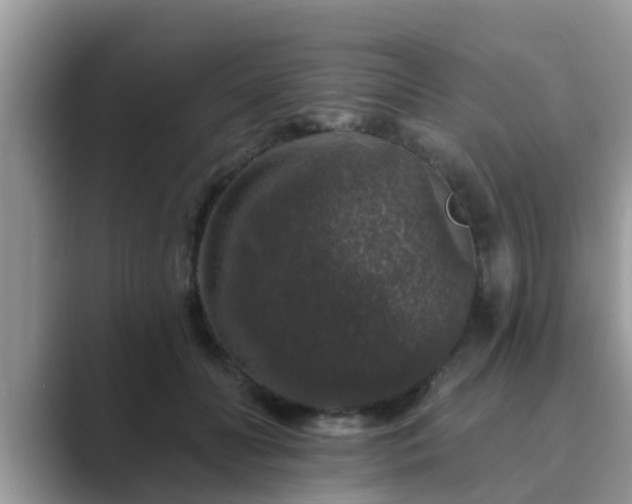 X0000089880606200707051211